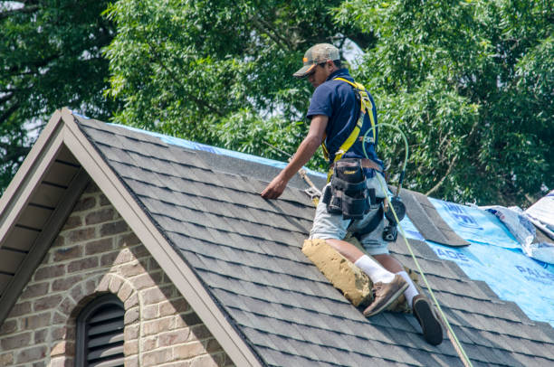 Best Metal Roofing Contractor  in Waverly, IA